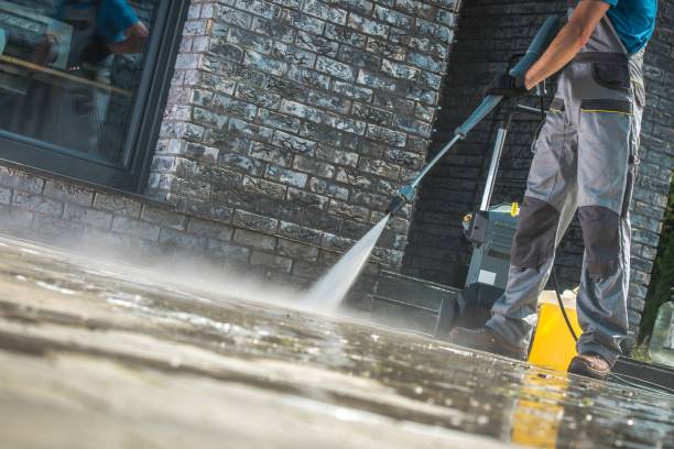 Best Animal Enclosure Cleaning  in Spring, TX