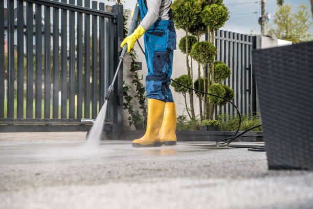 Best Building Exterior Washing  in Spring, TX